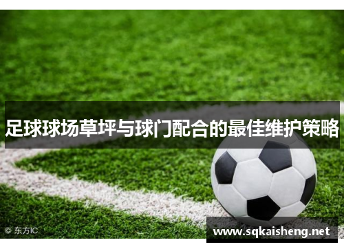 足球球场草坪与球门配合的最佳维护策略